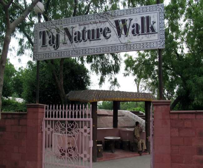 Taj Nature Walk Agra
